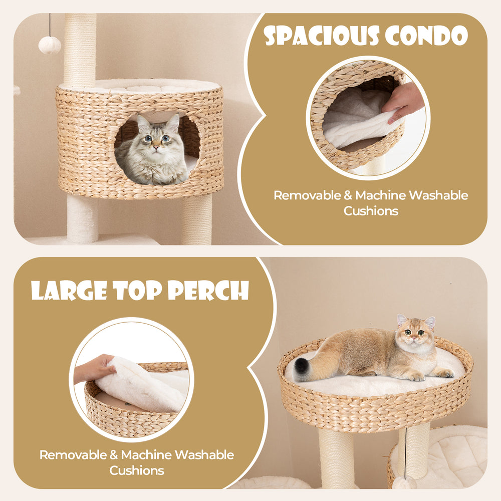 Spacious condo with removable, machine washable cushions for indoor cats, featuring natural cattail fluff design.
