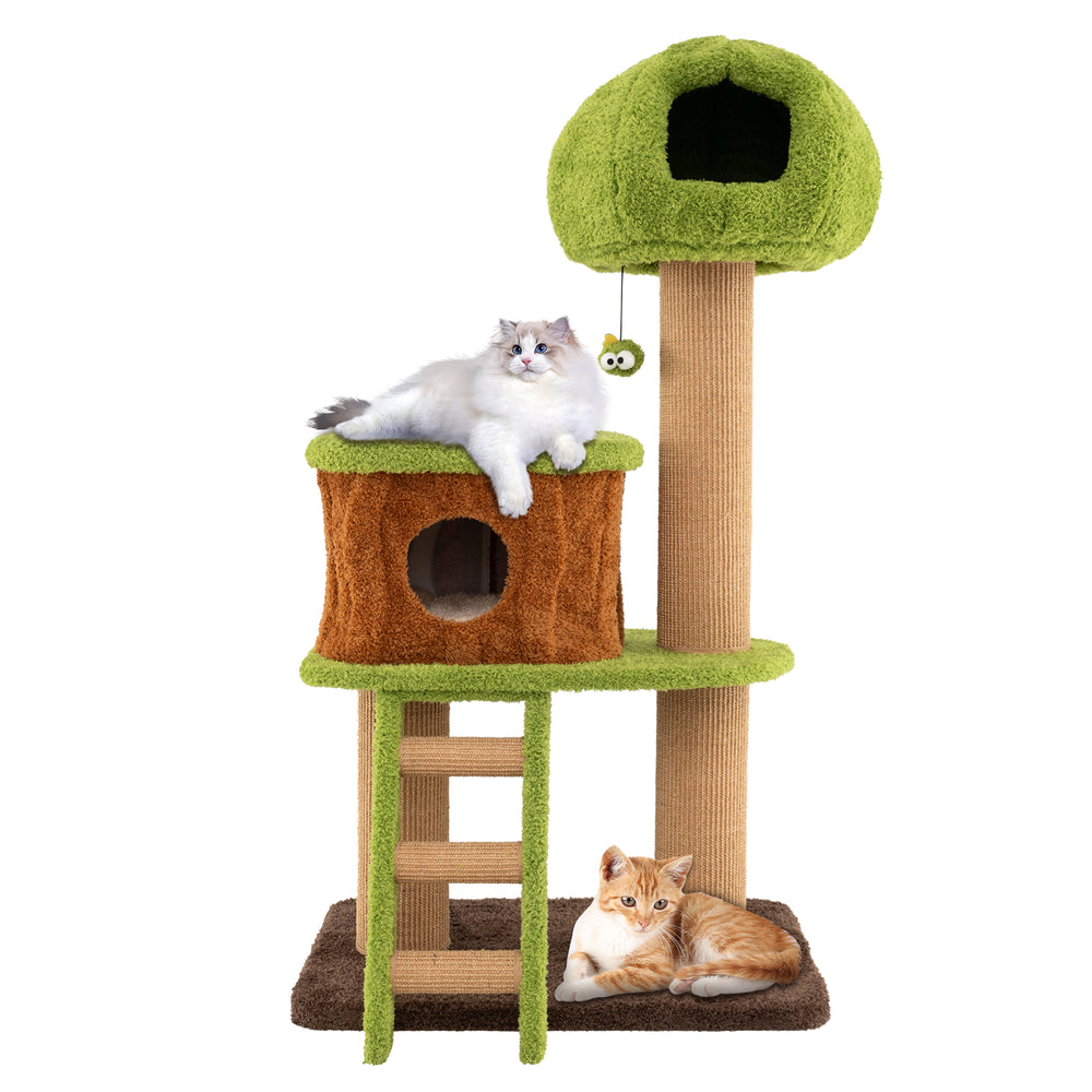 Cat tree with mushroom-shaped nest, sisal scratching posts, and climbing ladder for indoor cats in green and brown.