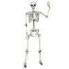 Life-size 5.4-foot Halloween skeleton with movable joints, perfect for spooky decorations at parties and outdoor.