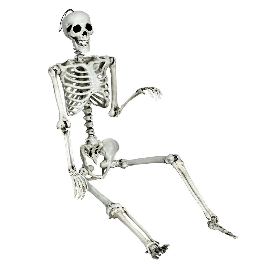 Realistic 5.4-foot Halloween skeleton seated, featuring movable joints for versatile spooky decorations indoors or.