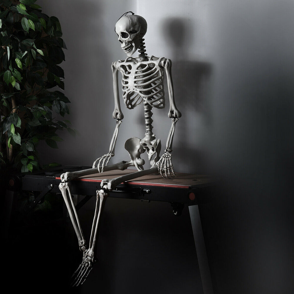 Life-size 5.4-foot Halloween skeleton with movable joints, perfect for spooky indoor and outdoor decorations.