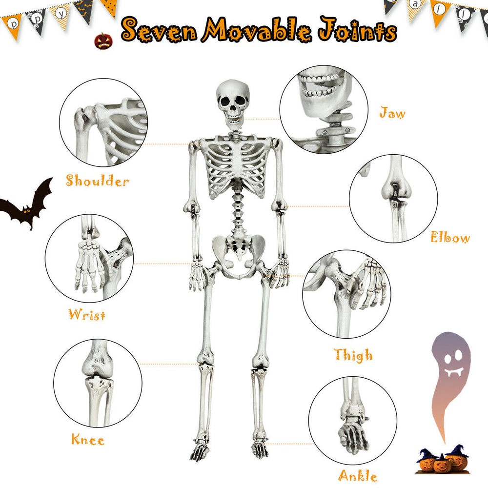 Life-size 5.4-foot Halloween skeleton with movable joints, perfect for spooky decorations at parties and outdoor scenes.