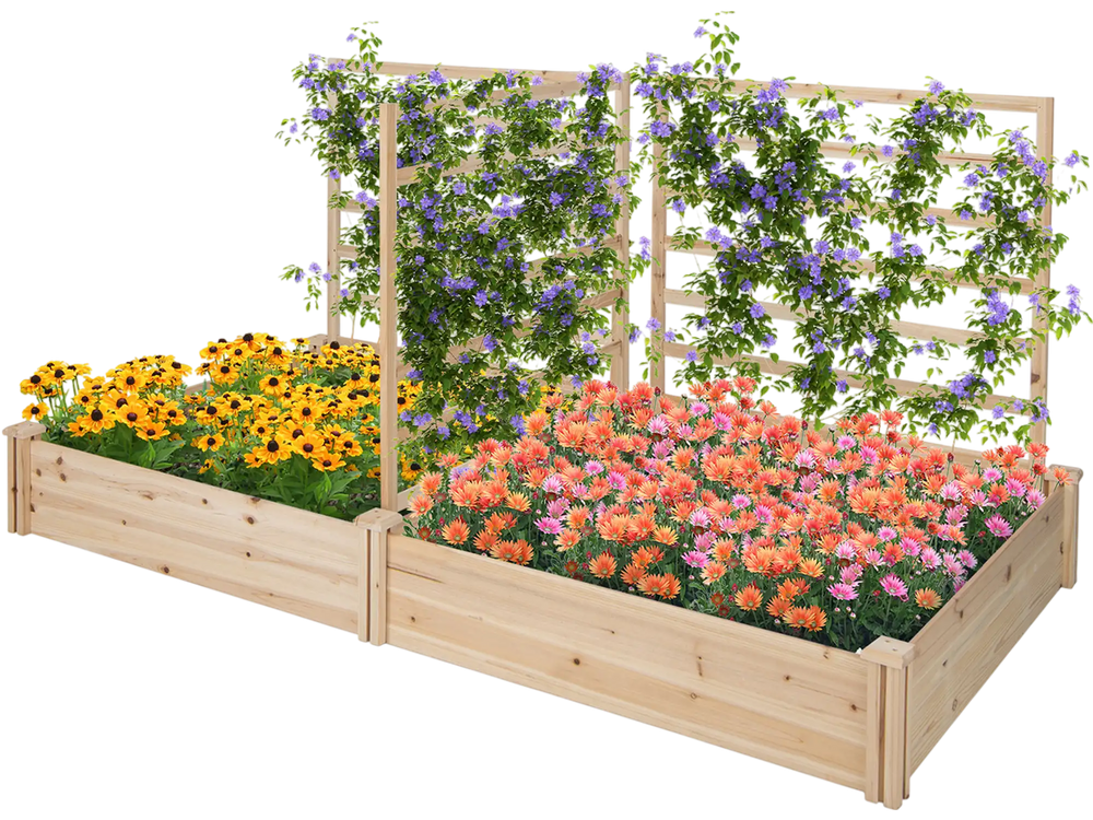 Raised garden bed with two planter boxes and three trellises, made of natural fir wood, ideal for diverse plant growth.
