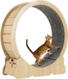 Large 40-inch cat exercise wheel in natural wood with carpeted runway, designed for indoor cats to promote exercise and.
