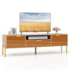 Mirrored TV stand for TVs up to 65 inches featuring spacious tabletop, 2 storage cabinets, and modern design.