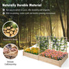 Raised garden bed with two planter boxes and three trellises made of natural fir wood for diverse planting options.