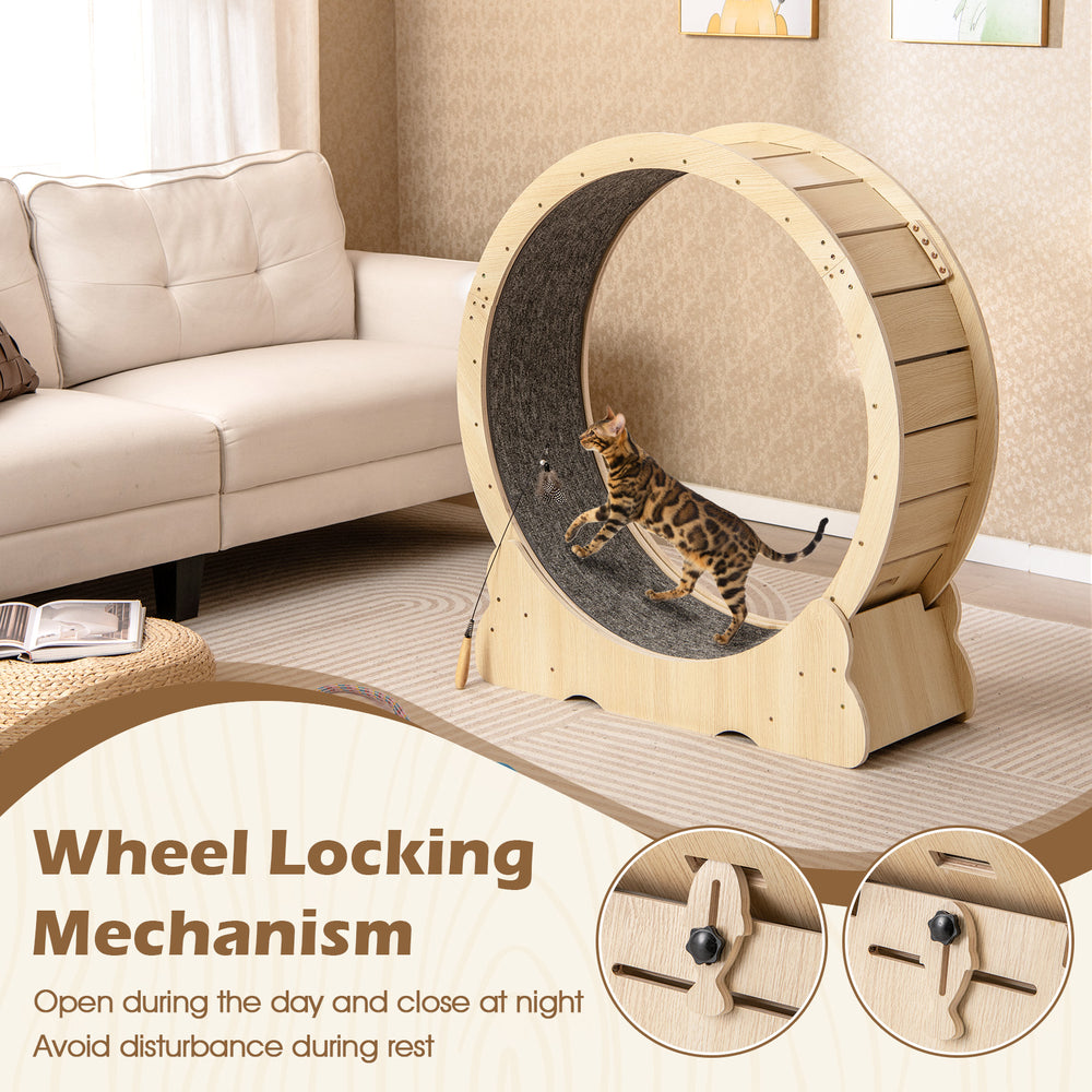 Large 40-inch cat exercise wheel with a lockable mechanism and carpeted runway for indoor cats, promoting healthy.