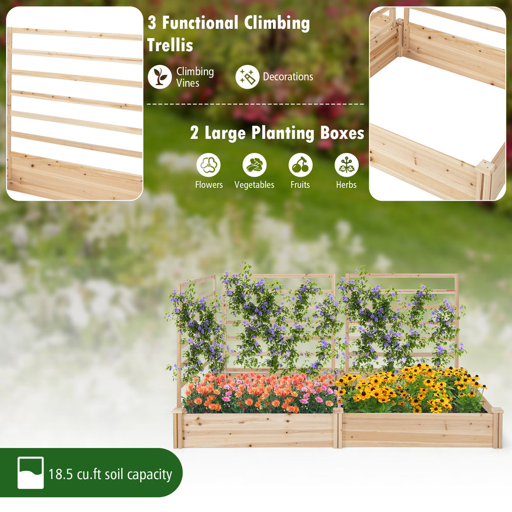 Raised garden bed with 2 planter boxes and 3 trellises made of natural fir wood, ideal for growing flowers and.