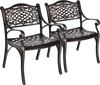 Two outdoor cast aluminum chairs with armrests, featuring a hollow-out design, perfect for patio and garden use.