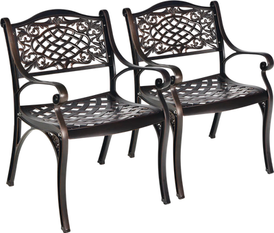 Costway Outdoor Cast Aluminum Patio Dining Chairs w/ Armrests 2-Piece 35246178 New