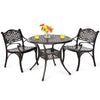 Two outdoor cast aluminum chairs with armrests and a round table, perfect for patio or garden use.