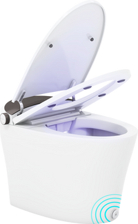 Featured image for product 7953380540605