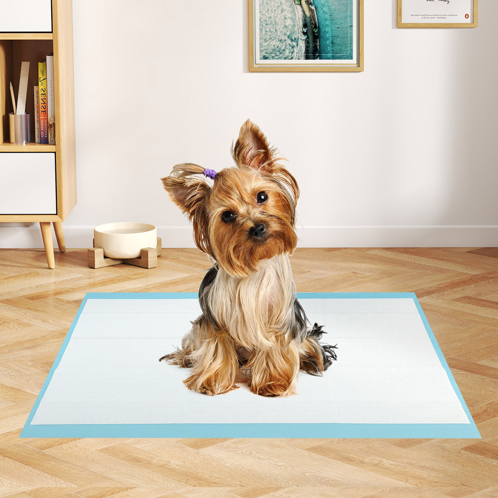 Dog and puppy pee pads 24" x 17" in blue, featuring a 5-layer design for maximum absorption and leak protection.