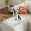 Single dog pee pad in blue, 24" x 17", showcasing the non-woven fabric layer designed for quick liquid absorption.