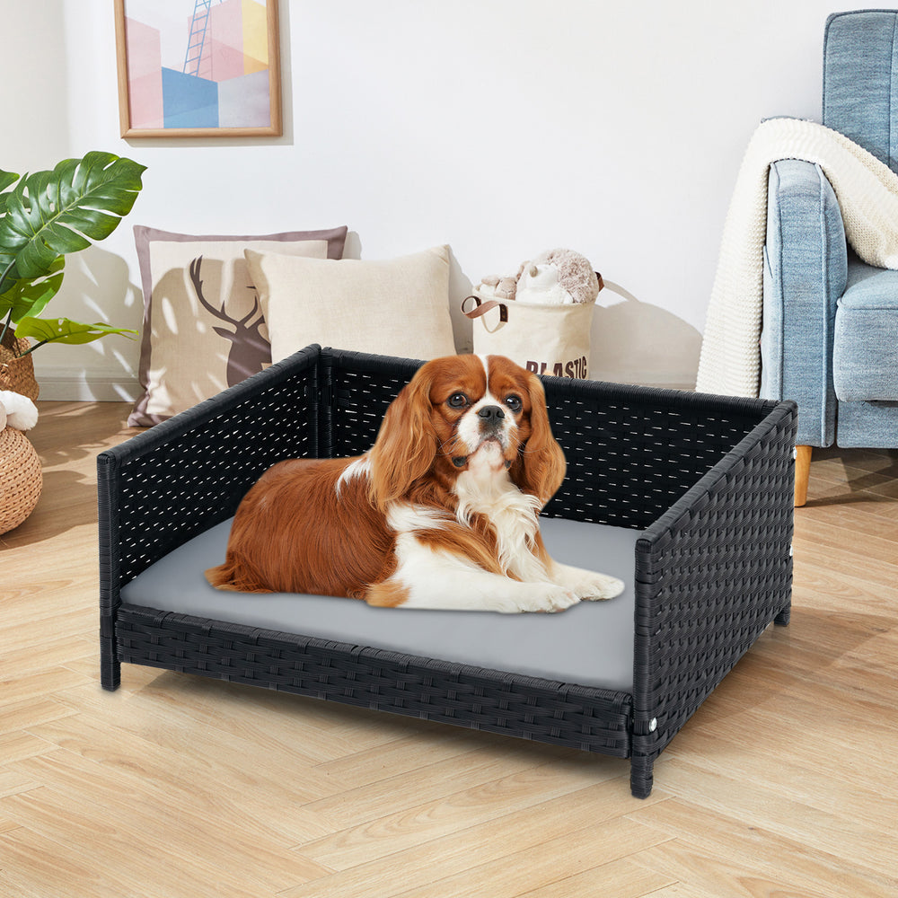 Rattan dog bed with waterproof cushion for medium small pets, featuring a cozy design and elevated bottom for.