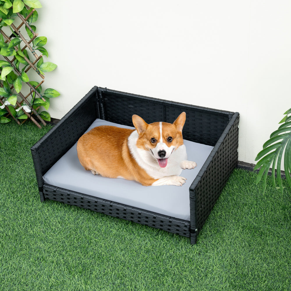 Rattan dog bed with waterproof cushion for medium small pets, featuring a sturdy design and elevated bottom for comfort.