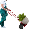P-handle sack truck in red with 10-inch wheels, transporting a large potted plant for easy maneuvering in the garden.
