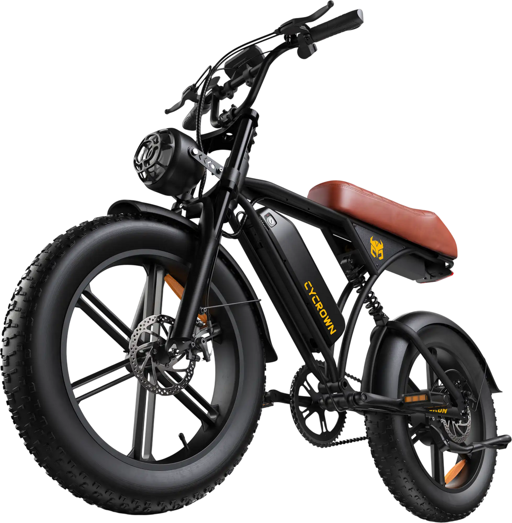 CycRun 2.0 Vintage Moped Ebike