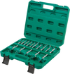 Grizzly PRO T33698 - 15 Pc. Tungsten Carbide Hex Shank Forstner Bit Set, 5/16" - 2-1/16"