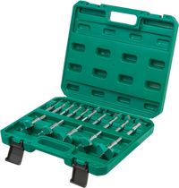 Grizzly PRO T33698 - 15 Pc. Tungsten Carbide Hex Shank Forstner Bit Set, 5/16