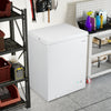Compact chest freezer with adjustable temperature, removable storage basket, and top stay-open door for easy access.