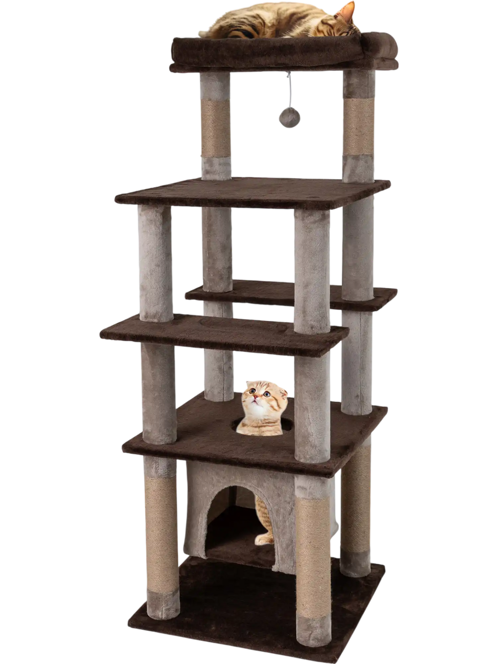 Multi-level cat tree with a cozy aerial condo and a dangling toy, designed for feline play and relaxation in brown.