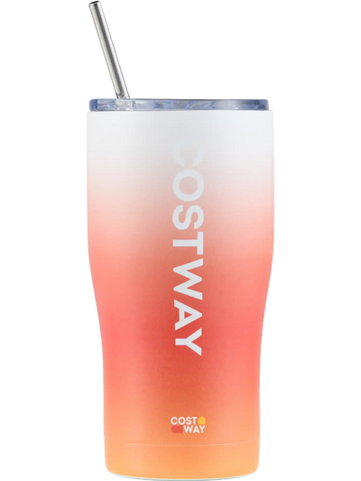 Costway Stainless Steel Tumbler w/ Lid & Metal Straw 93089581 New