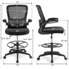 Drafting chair with ergonomic lumbar support and adjustable foot ring, designed for use with an electric height.