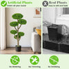 Set of 2 indoor outdoor topiary trees with realistic trunk, weighted base, and vibrant faux leaves for year-round.