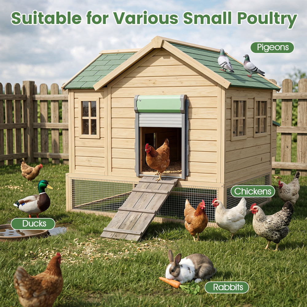 Automatic chicken coop door with remote control and light sensor, designed for backyard poultry management and convenience.