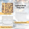 Lighted birch twig tree with 240 warm white LED lights and a weighted cement base for stable holiday decor.