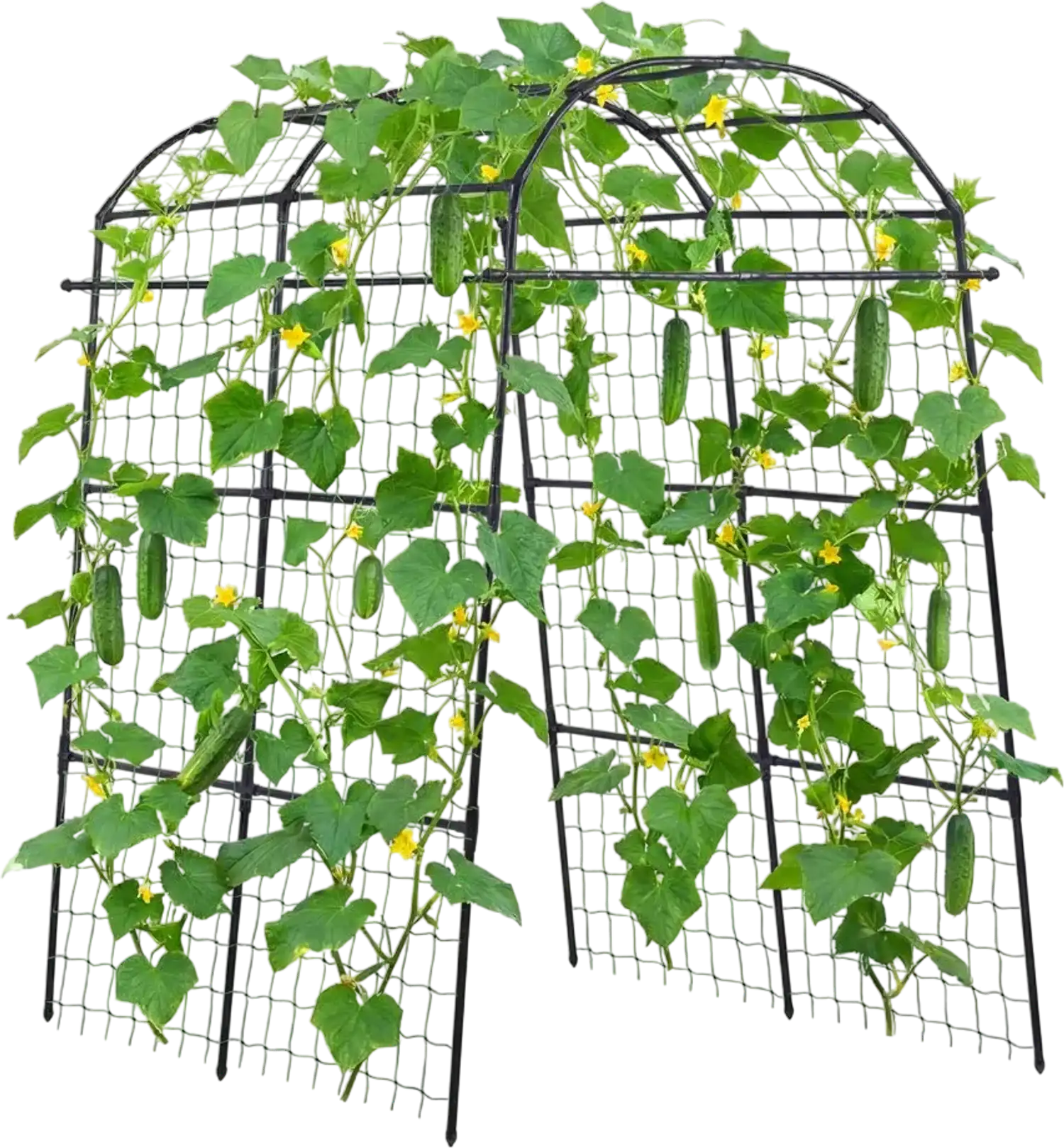 Vevor Trellis U-Shaped Garden Cucumber Arch 70.87
