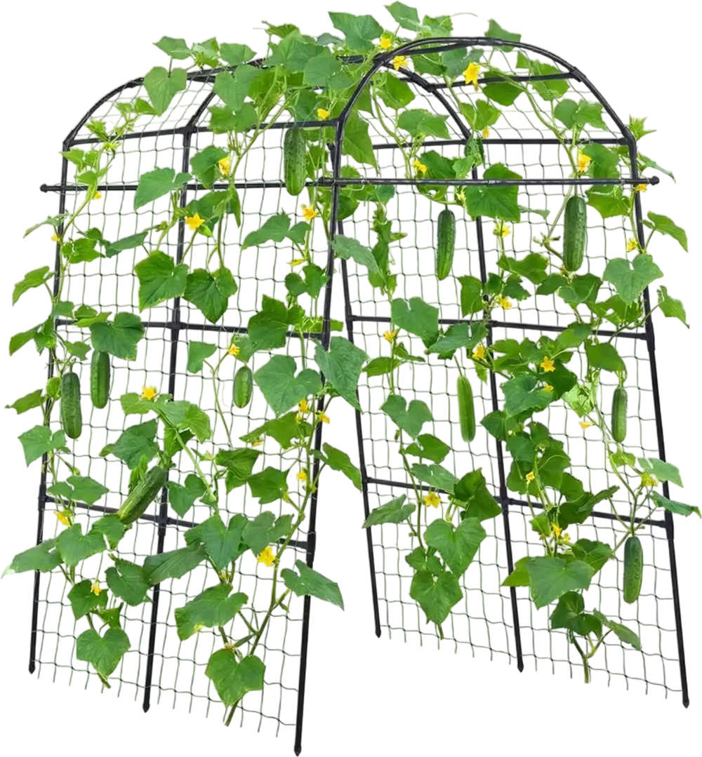 VEVOR Cucumber Trellis, U-Shape Garden Trellises for Raised Bed, Metal Arch Plant Support for Vine, Climbing Plants Outdoor, Peas, Beans, Zucchini, Tomato, Squash, Flower (70.87 x 44.09 x 82.99 in)