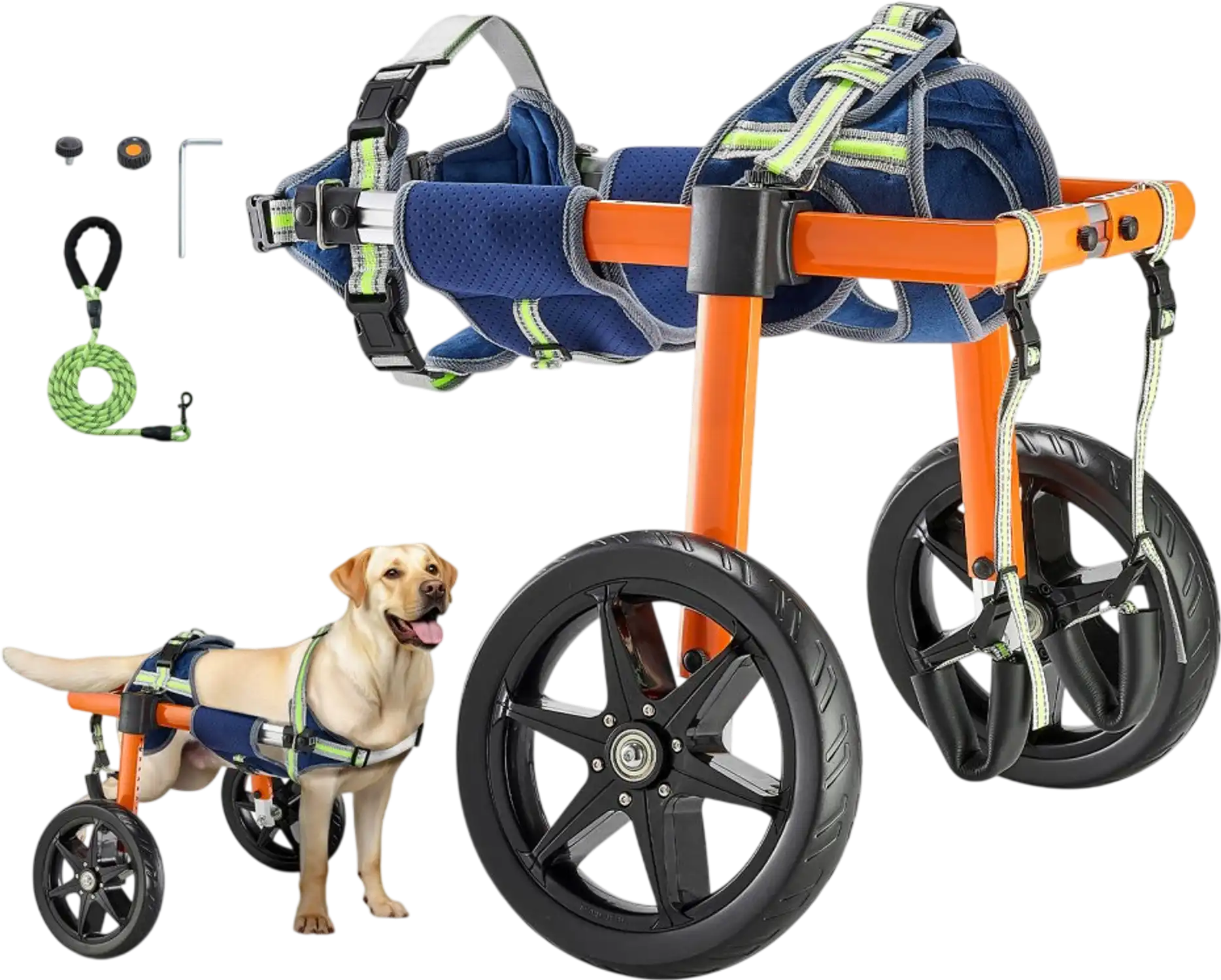Vevor Dog Wheelchair Adjustable 2-Wheel Rear Support Cart for Medium Dogs 35-48 lbs New