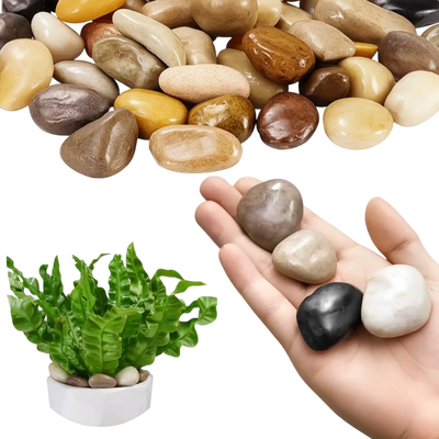 VEVOR Natural River Rocks, 1-2 inch 15 lbs, Decorative Multi-Color Pebble Stones, Smooth & Polished Garden Landscaping Stones, Paving Plant Rocks for Fish Tank, Flower Pots, Water Fountains, Pathways