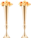 VEVOR 2PCS 56cm/22.05” Tall Wedding Flower Vase, Metal Wedding Trumpet Centerpiece, Gold Floral Stand Display Rack for Tables Wedding Dinner Party, Anniversary Ceremony Birthday Event Decor