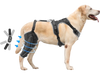 VEVOR Dog Knee Brace for Torn ACL, Dog Leg Brace with Adjustable Hinge Stabilizer, Pet Knee Support Harness for Right Hind Leg, Pain Relief, Reflective Dog Joint Support Brace for Arthritis Recovery