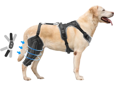VEVOR Dog Knee Brace for Torn ACL, Dog Leg Brace with Adjustable Hinge Stabilizer, Pet Knee Support Harness for Right Hind Leg, Pain Relief, Reflective Dog Joint Support Brace for Arthritis Recovery