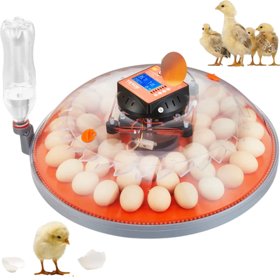 Vevor Egg Incubator 48 Egg Automatic Turner Poultry Hatcher New