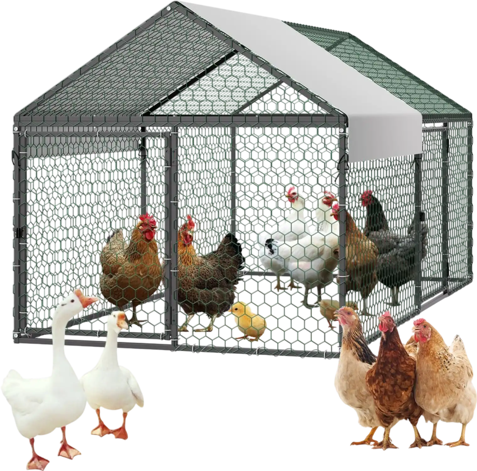 Vevor Chicken Coop 3.3' x 6.6' x 3.3