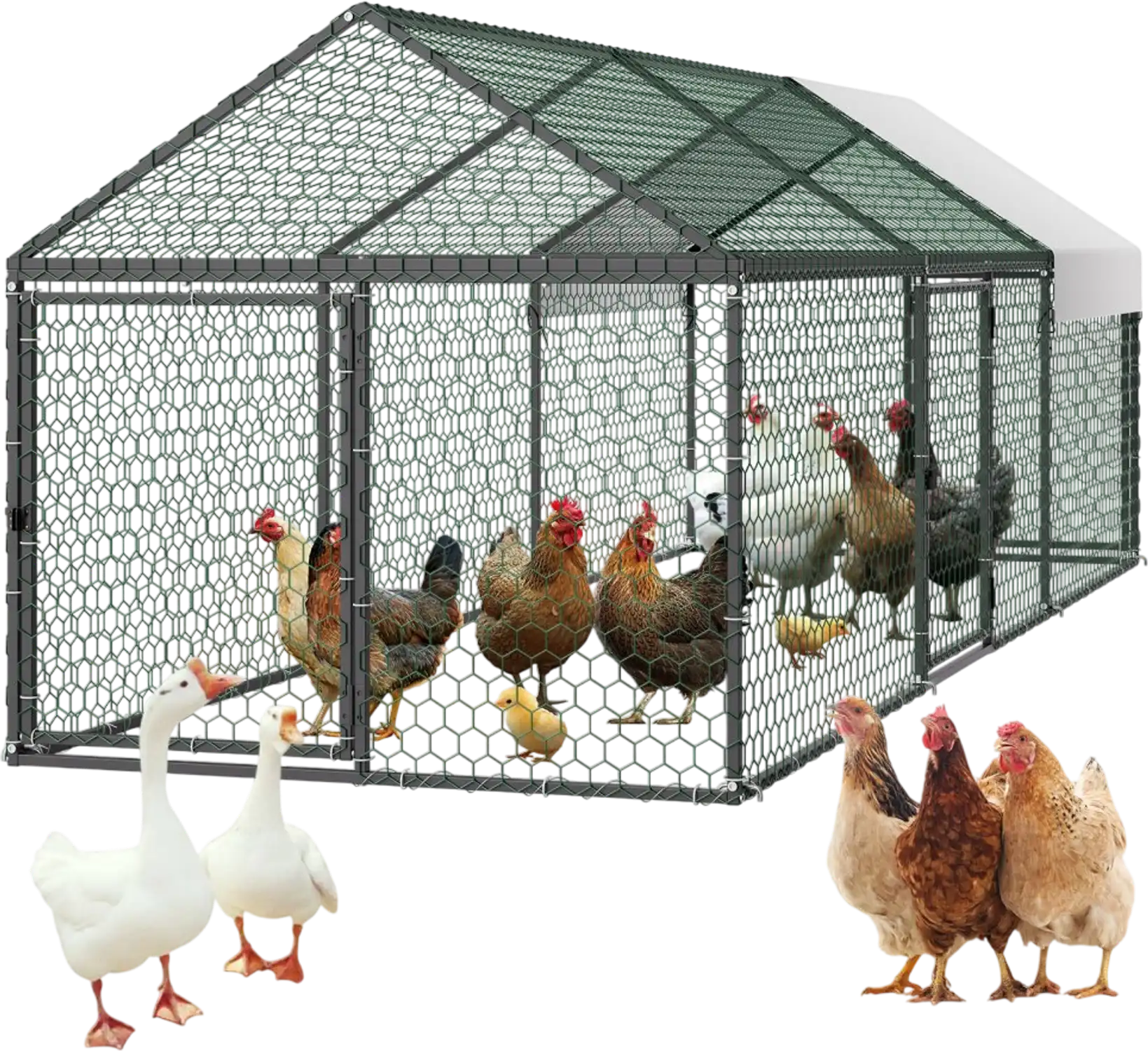 Vevor Chicken Coop 3.3 x 9.8 x 3.3' Spire Roof Poultry Run for 6-8 Chickens New