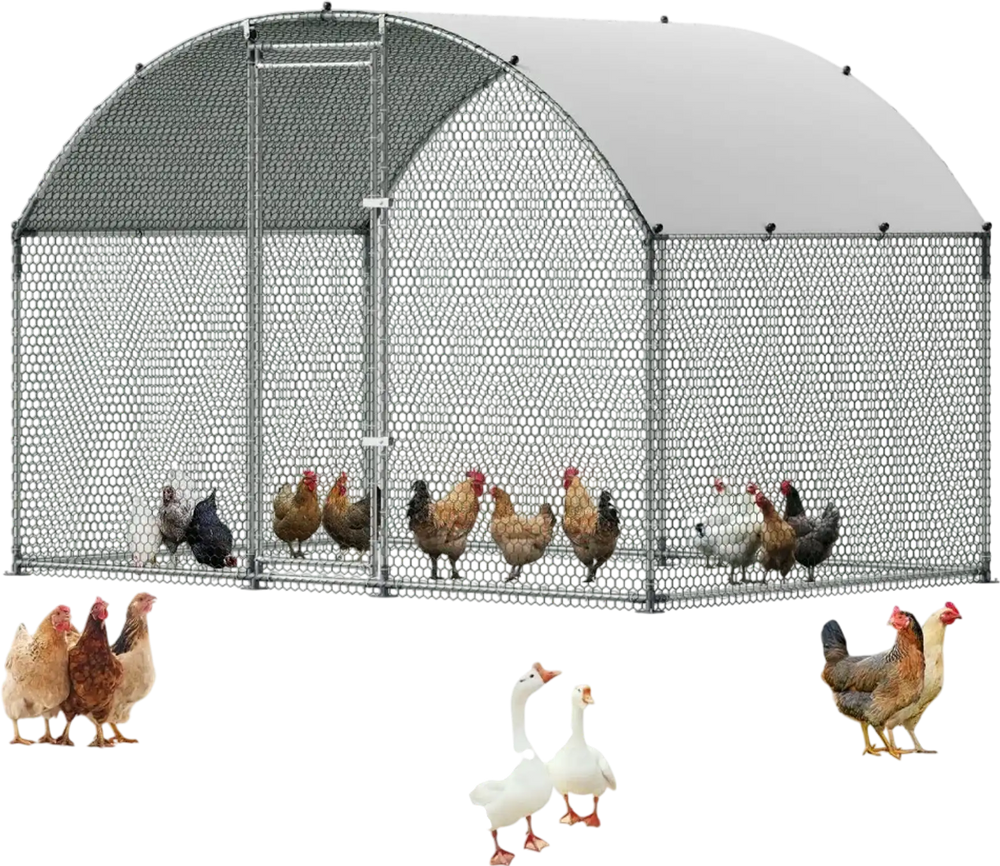 VEVOR Large Metal Chicken Coop 9.8x6.6x6.6 ft Walk-in Chicken Run House, Doom Roof Hen House Enclosure with Cover and Security Lock, Outdoor Duck Rabbit Cage Poultry Pen for Backyard, Farm, Yard Use