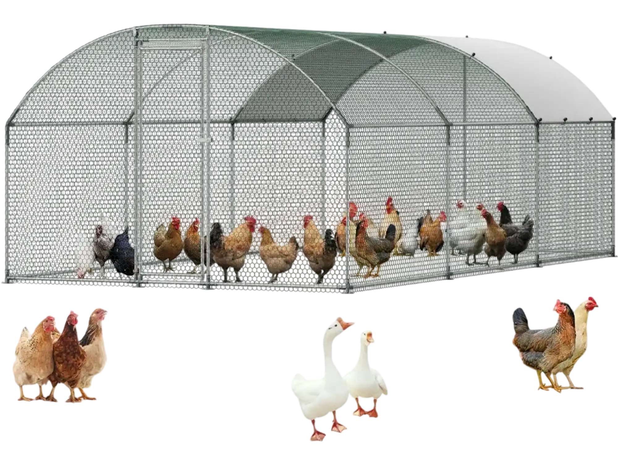 Vevor Metal Chicken Coop 9.8 x 19.7 x 6.6' Walk-In Dome Roof with Cover New