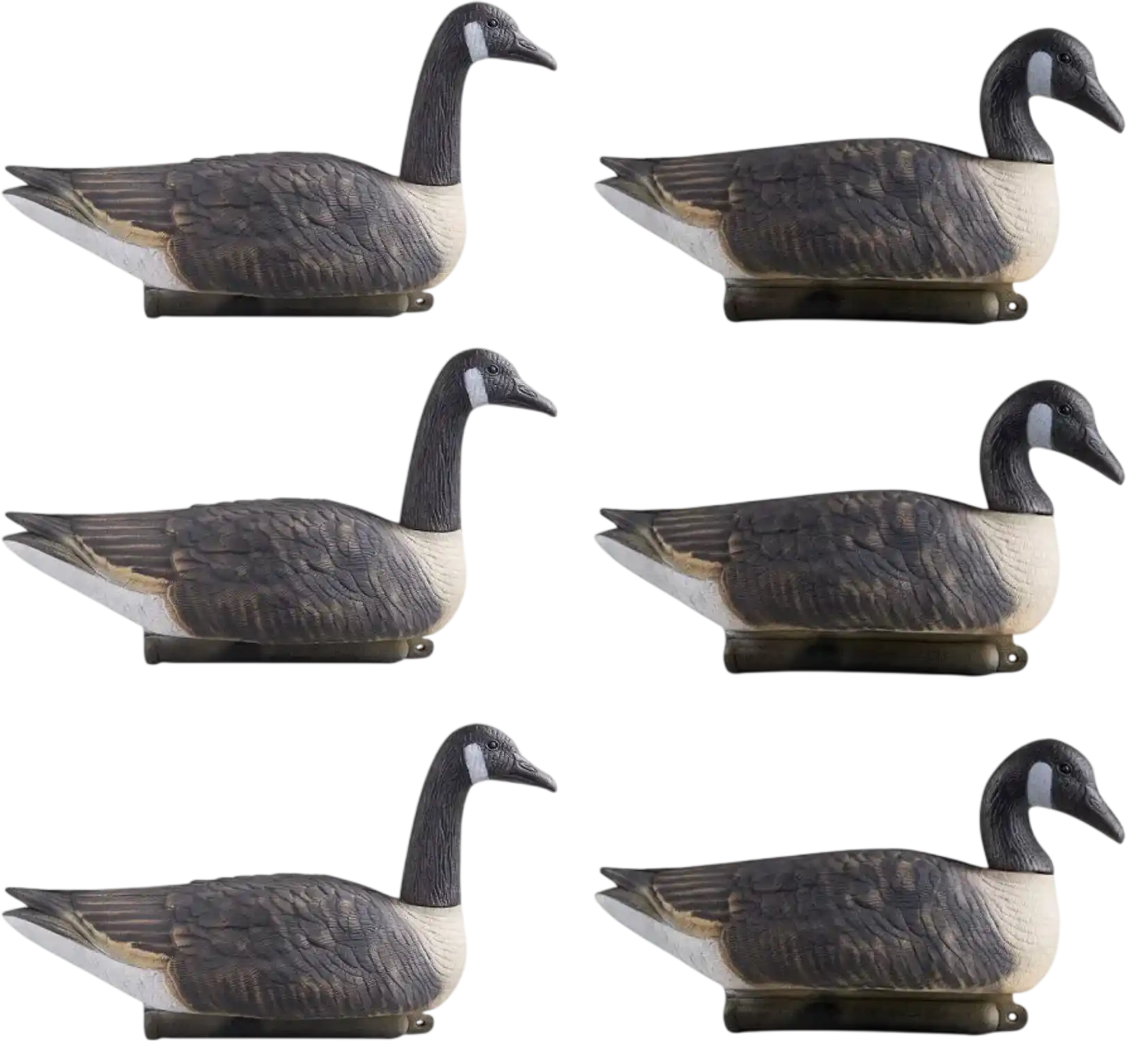 Vevor Goose Decoy Canadian Goose Floater Hunting Decoys 6-Pack New