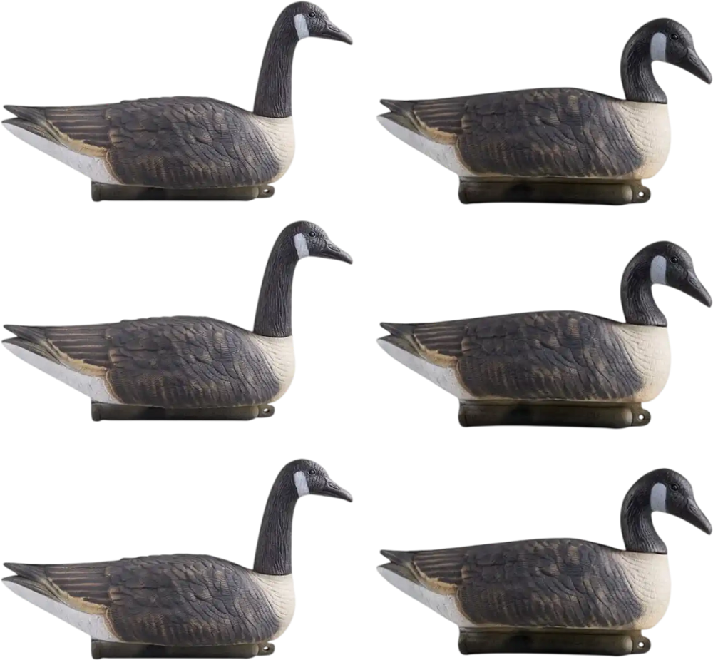 VEVOR Canada Goose Decoys, Outdoors Goose Decoy for Waterfowl Hunting, Durable Plastic Floaters with Ultra Realistic Paint, for Pool, Pond, Lake, Garden Yard Decoration, Easy to Carry and Use, 6-Pack