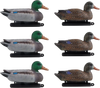VEVOR Duck Decoys, Realistic Floating Duck Decoys, Weight Forward Swim, Plastic Duck Hunting Decoy Outdoor for Hunting, for Pool, Pond, and Lake, Garden Yard Decoration, Easy to Carry and Use, 6-Pack