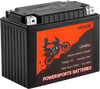 VEVOR Motorcycle Battery, 12 Volt 8Ah, LiFePO4 Lithium Pre-Charged Powersports Battery, Maintenance Free & High Performance, Compatible with ATV, Motorcycle, Jet Skis, Scooter, UTV, and More