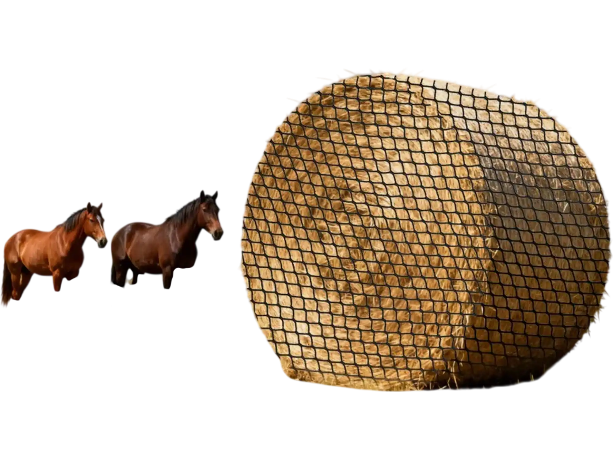 Vevor Free-Standing Hay Net Round Bale Slow Feeder for Horses 4.92' x 4.92' x 4.92' New