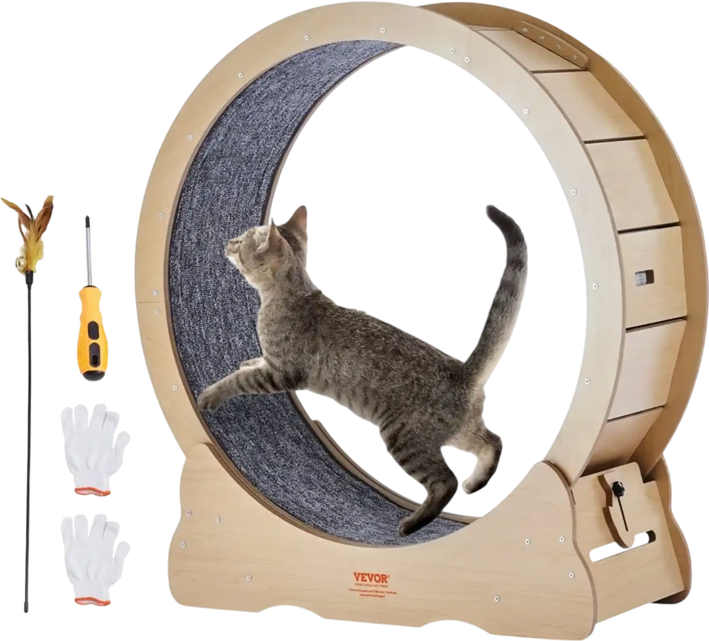 VEVOR Cat Exercise Wheel, Large Cat Treadmill Wheel for Indoor Cats, 35.8 inch Cat Running Wheel with Detachable Carpet and Cat Teaser for Running/Walking/Training, Suitable for Most Cats
