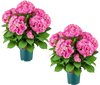 VEVOR Artificial Potted Hydrangeas 28 in 2-Pack Fake Flower Plants Deep Pink, for Porch, Patio, Entryway, & Home Decor, Indoor & Outdoor Use, Silk and PE Blooms in Pots, Ready to Display Faux Plants